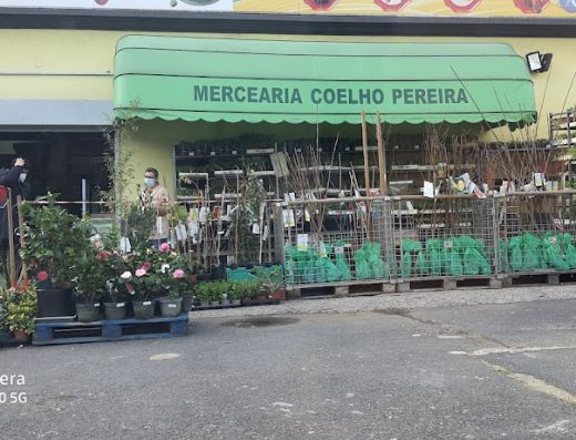 Horto do Campo Grande