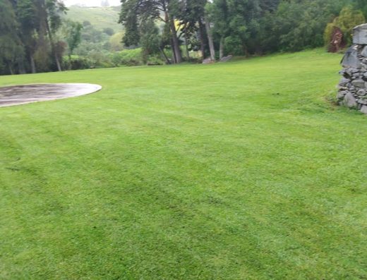 Jardim de Sonho – Manutenção de espaços verdes, piscina, limpezas de terrenos