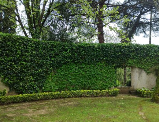Jardim de Sonho – Manutenção de espaços verdes, piscina, limpezas de terrenos