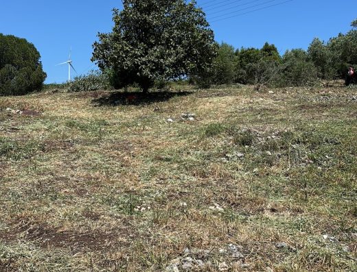Limpezas de Terrenos – Emanuel Ricardo