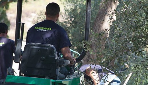 Sograma Jardins