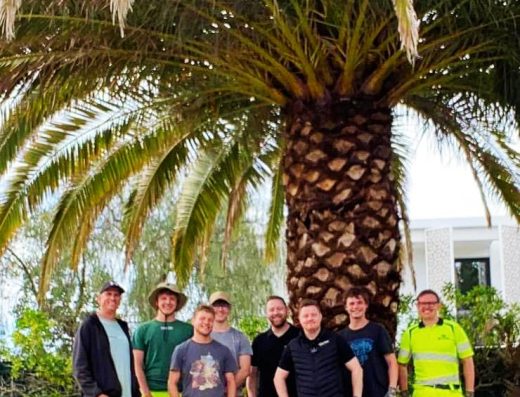 Vital Gardens Landscaping & Garden Maintenance, Algarve – Portugal